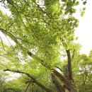 문수탄산온천 | 2박3일 가족여행 2일차 (전등사,횡성 소고기,강원도 월정사,오색온천)