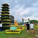 야간)꽃과 원예 이미지