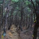 영축산에서 오룡산까지 ~