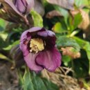 용방면사무소 이미지