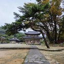 무량사 | 부여 무량사 템플스테이 휴식형 후기, 태조암으로 가는 멋진 산책길