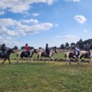 오케이승마장 이미지