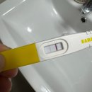 라온휴한방병원 | [땡+똥] 임신 - 자연유산 - 계류유산 - 자궁외임신, 충대병원 소파술 후기 (매우 긴 글 주의)_241218