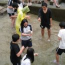 전주호성중학교 이미지