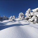 2025.1.20.(월요일) ~ 22일(수요일) 제주도 한라산 눈산행 안내 이미지