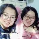 놀스타일 이미지