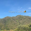 홍천 뜨란 오토캠핑장 이미지