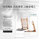 비피113