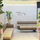 대전중앙약국 이미지