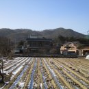 보니치니 골프랜드 이미지