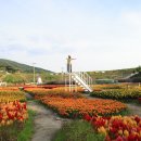 천상한우정육점