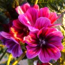 강화문예회관 이미지