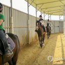 춘천승마장 이미지