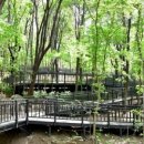 수락산 순환산책로 이미지