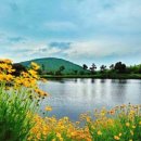 남경호텔 이미지