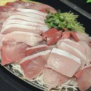 노량진 형제상회, 진주식당 대방어 내돈내산 후기(예약 방법)
