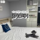 호야스테이 이미지