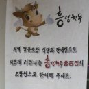 홍성한우클러스터사업단