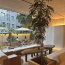 PiTc | (연남동) PITC 카페 내돈내산 후기 / 디저트 맛집 감성카페