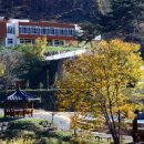 비학산자연휴양림 이미지