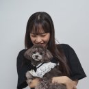스튜디오집 이미지