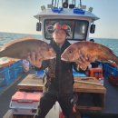 지디컴퍼니 이미지