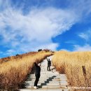 달의정원 별관 이미지