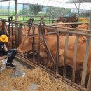 아산목장 이미지