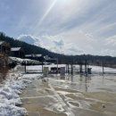 굿나잇도그 이미지