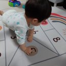 멍멍타요 이미지