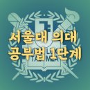 렉슬아카데미