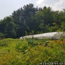 우원부동산공인중개사사무소 이미지