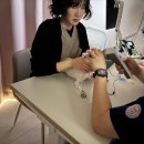 원격대학형태 | 마북동 동물병원, 강아지 속눈썹 질환 초기에 놓치면 수술까지 갑니다