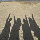 동호블루 이미지