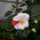 유원농장 이미지