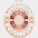 콤마치과의원 이미지