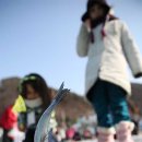 팔딱팔딱 이미지