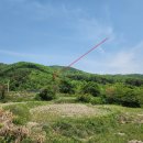 수원-1741 이미지