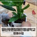 양산푸른장애인평생학교