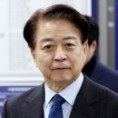 노웅래 카카오 검색결과