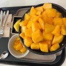 웃게해줄개 이미지