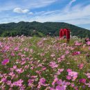 코스모스 산업 이미지