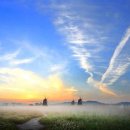 소래습지생태공원 이미지