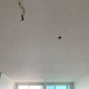 하대동311 | 진주 하대동 대화강변아파트 실크벽지 도배 시공 후기 (by 진주 도배업체 천수)