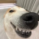 현기획 | [알릭 이니셔티브 UX/UI 기획] 최종 합격 후기