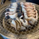제주장어맛집 제주황금장어 함덕 소노벨제주 함덕 점심식사 장어랑 낮술 크!
