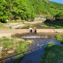 훼미리낚시터 이미지