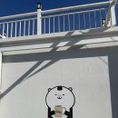 카페시로 이미지