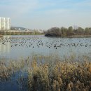 수원-1897 이미지