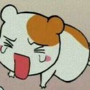 때매